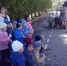 В Кунгуре для воспитанников старших групп детского сада состоялся велопробег - Газета Новости Кунгурского края