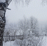 Внимание! 1 и 2 марта 2019 ожидается сильный мокрый снег - Кунгур-край.ru