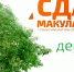 Сдай макулатуру – спаси дерево! - Газета Новости Кунгурского края