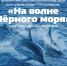 «На волне Черного моря» - Газета Новости Кунгурского края