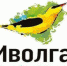 Продолжается регистрация зрителей на Молодежный форум ПФО «iВолга» - Газета Новости Кунгурского края