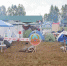 Фотография к материалу: Переходящий кубок Краевого турслета ветеранов увезла команда города Кунгура - Газета Искра