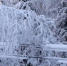 МЧС информирует о неблагоприятных природных явлениях - Кунгурский муниципальный округ