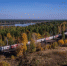 Из Перми - в Питер - Газета Новости Кунгурского края