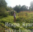 Фотография к материалу: Как оформить свой участок? - Газета Искра