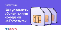 Фотография к материалу: На Госуслугах можно увидеть все свои сим-карты - Газета Искра