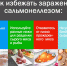 Кунгурякам напоминают о профилактике сальмонеллеза - Кунгурский муниципальный округ