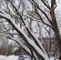 Фотография к материалу: -25°С. Но ненадолго - Газета Искра