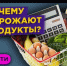 Почему молочная полка демонстрирует разнонаправленную динамику - Газета Новости Кунгурского края