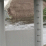 Уровни воды в реках Кунгурского муниципального округа на 03.04.2026 - Кунгурский муниципальный округ